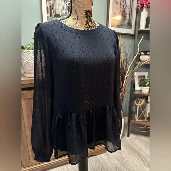 Loft blouse with sheer overlay and sheer aleeves. Size XS. - Picture 2 of 3